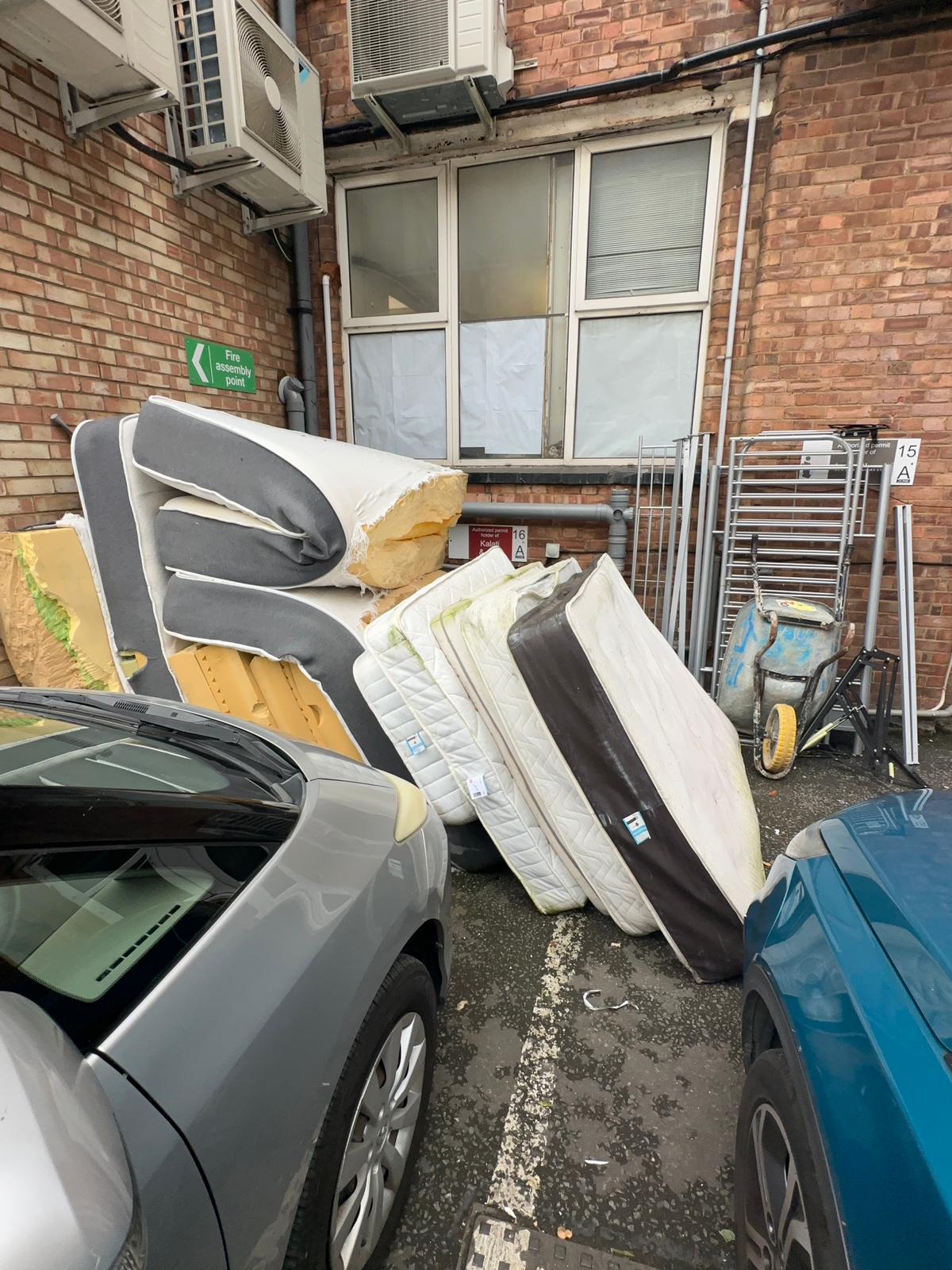 professional waste removal service in Crystal Palace